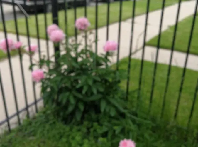 320 Happy * Chicago